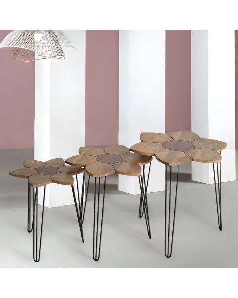 Wooden Side Table Set