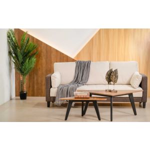 Anjala Fabric Sofa Cum Bed in Grey/White Color By Stories