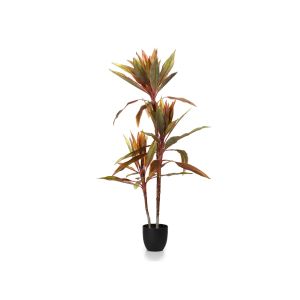 Cordyline Artificial Plant By Stories 
