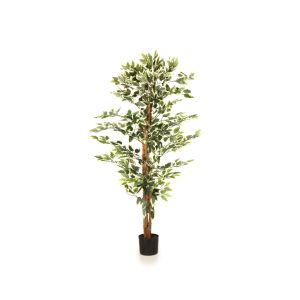 Ficus Artificial Plant By Stories 