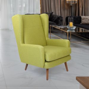Tenny Wing Chair With  Green Colour By Stories 