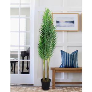 Arecapalm Artificial Tree 165Cm By Stories 