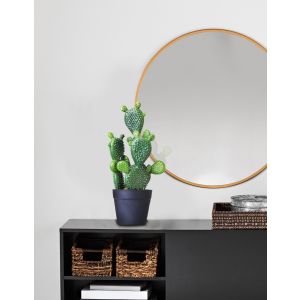 Cactus Small Artificial Plant By Stories 