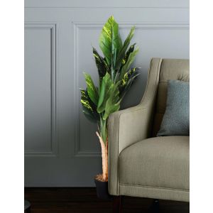 Diffenbachia Artificial Plant 110Cm By Stories 