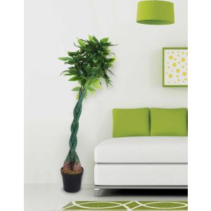 Pachira Artificial Tree 150Cm By Stories 