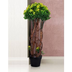 Boxwood Artificial Multi Trunk Tree 90Cm By Stories  