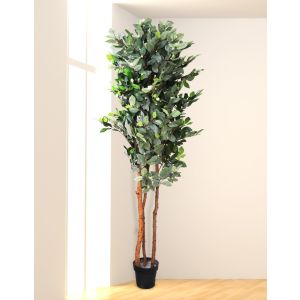 Camellia Artificial Plant 200Cm By Stories 