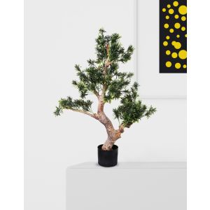 Yang Artificial Plant By Stories  