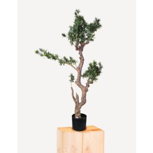 Podocapus Artificial Plant 50Cm By Stories 