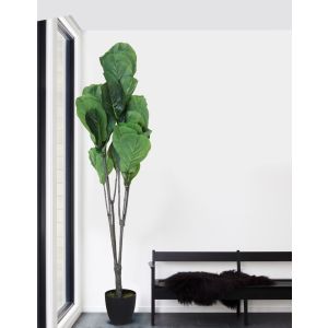 Ficus Artificial Plant 175Cm By Stories 