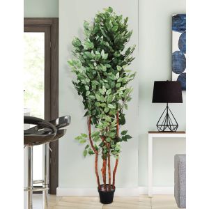 Ficus Artificial Plant 180Cm By Stories 